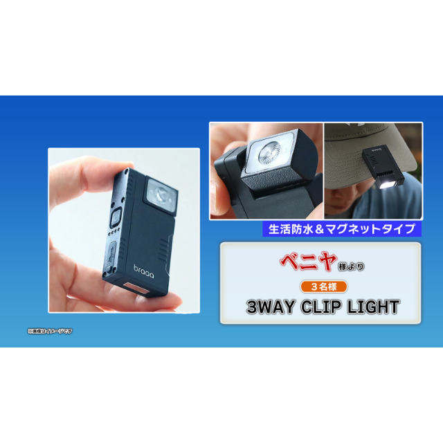 3WAY CLIP LIGHT