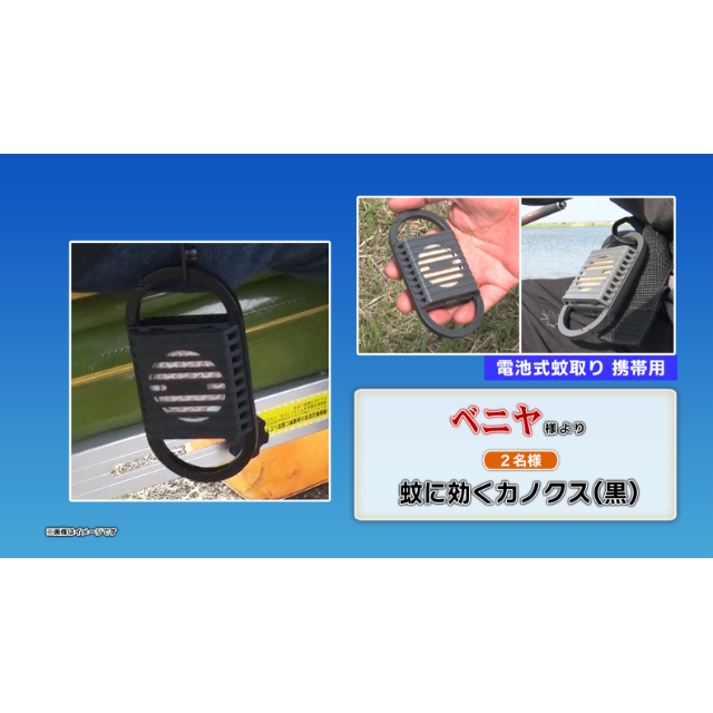 蚊に効くカノクス（黒）